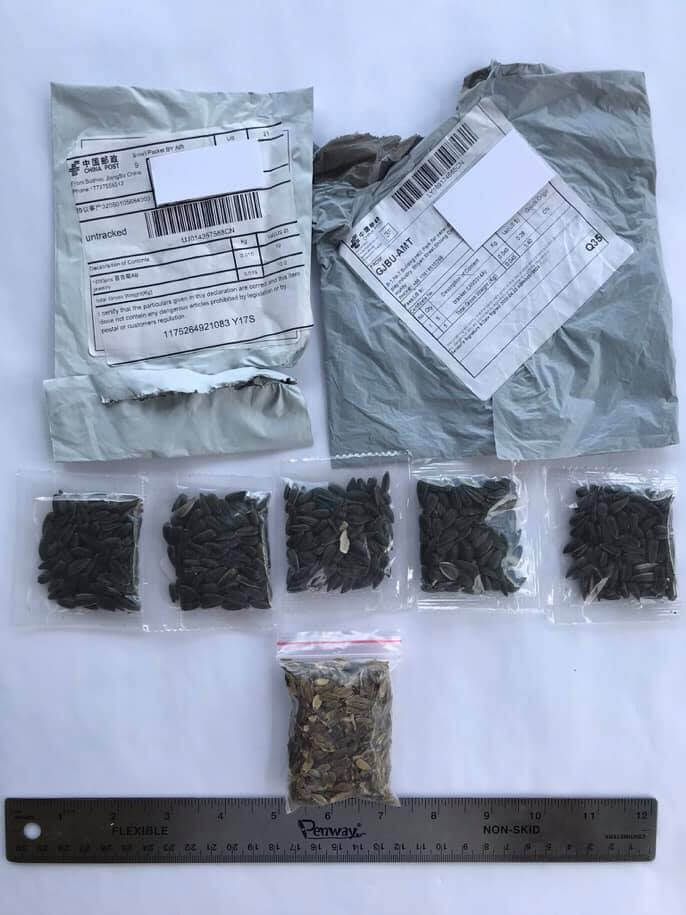 Mississippians reporting getting mysterious seeds from China in the mail, warned not to plant them