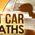 Pair of toddlers found dead inside vehicle