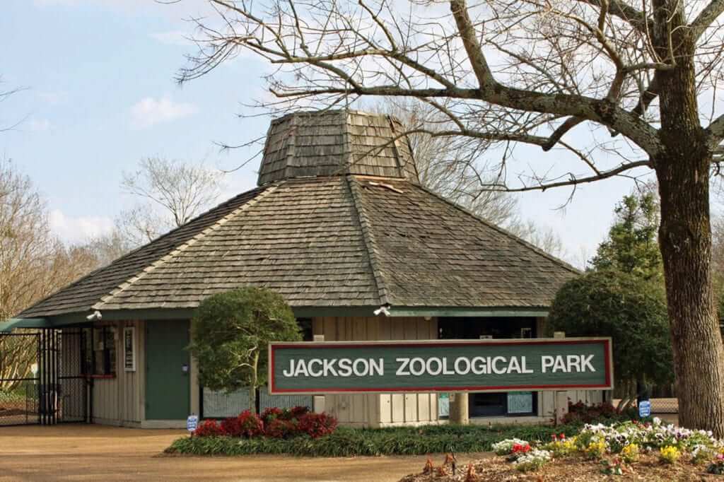 Jackson Zoo Reopens after Power Outages