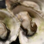 oyster-989179_1920