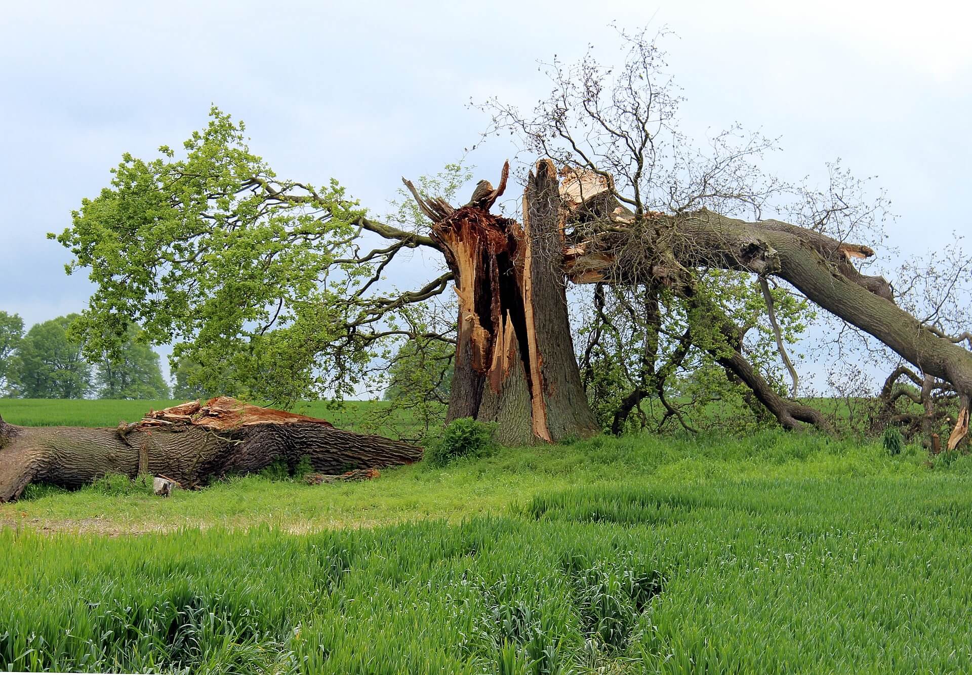 storm-damage-597217_1920