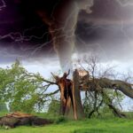 Tornado response update and safety tips