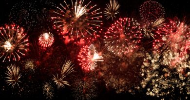 Avoid firework injury this Independence Day