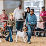 0201 Junior Livestock Shows