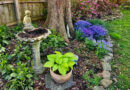McNary: Embrace Nature: The Endless Benefits of Creating a Garden at Home