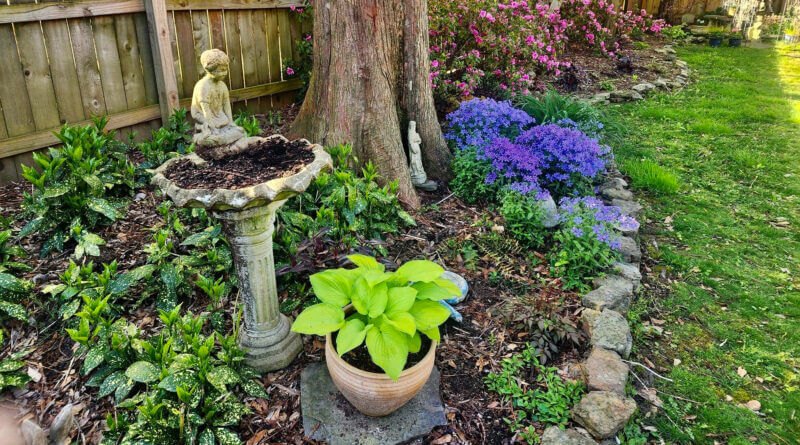 McNary: Embrace Nature: The Endless Benefits of Creating a Garden at Home