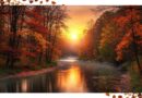 Harris: Preparing for Fall Expenses