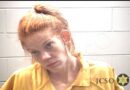 Two Children Die in Gautier Pool Tragedy; Mother Arrested on Drug Charges