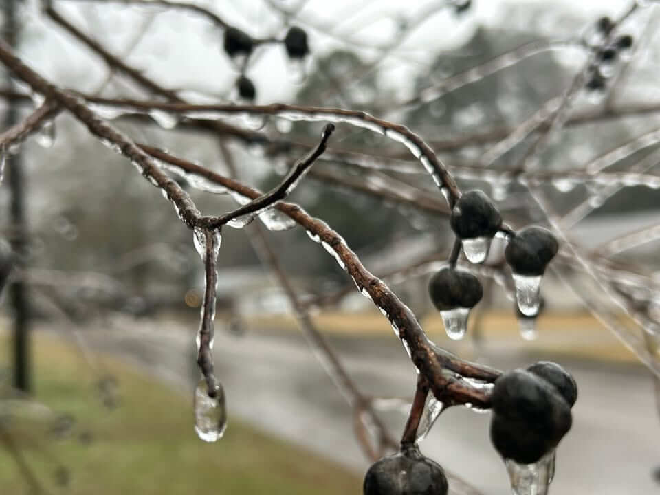 Ice storm causes power outages across Mississippi