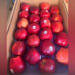 Fruit Giveaway Brightens Christmas Spirit in 2025 Fruit Giveaway Brightens Christmas Spirit in 2025