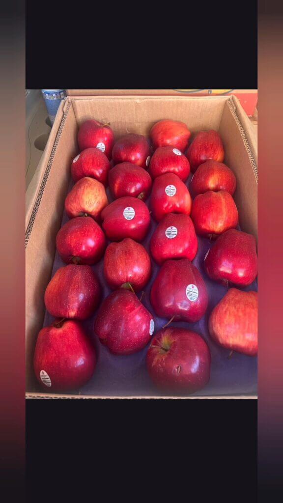 Fruit Giveaway Brightens Christmas Spirit in 2025