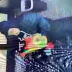 Police seek suspects in Tupelo vehicle burglary, Crime Stoppers offers reward Police seek suspects in Tupelo vehicle burglary, Crime Stoppers offers reward