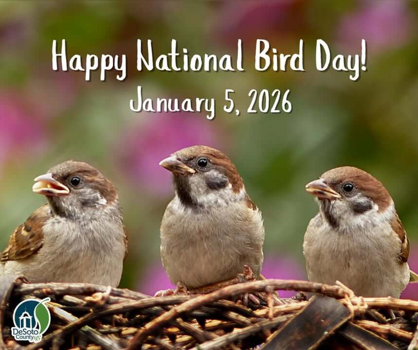 Celebrate National Bird Day by Supporting Birds This Winter