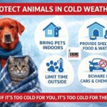 Mississippi Coast Crime Stoppers posts on Facebook Mississippi Coast Crime Stoppers posts on Facebook