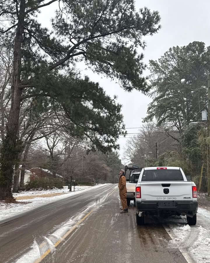 Tree sags on utility lines, blocks College Hill Road