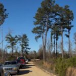 Firefighters Contain Forest Fire Near Deer Camp in Rankin County Firefighters Contain Forest Fire Near Deer Camp in Rankin County