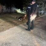 Pike County deputies assist Summit police in armed robbery search Pike County deputies assist Summit police in armed robbery search