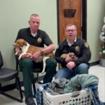 Pike County Sheriff’s Office Seeks Help for Abandoned Dogs and Puppies Pike County Sheriff’s Office Seeks Help for Abandoned Dogs and Puppies