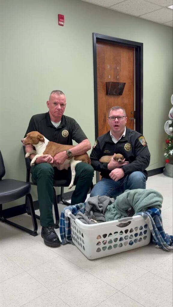 Pike County Sheriff’s Office Seeks Help for Abandoned Dogs and Puppies