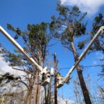 City of Oxford shares photos on Facebook City of Oxford shares photos on Facebook