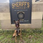 Tate County K-9s receive donated protective vests Tate County K-9s receive donated protective vests
