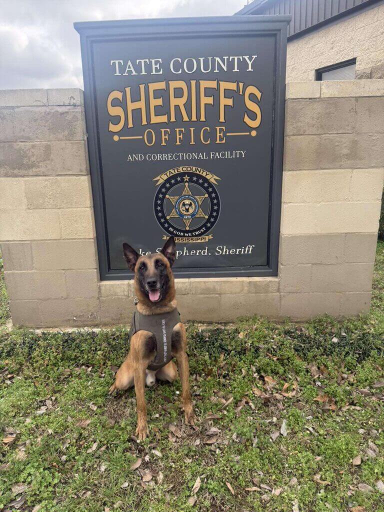Tate County K-9s receive donated protective vests