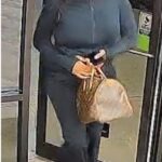 Bay St. Louis police seek person in false-pretense incident Bay St. Louis police seek person in false-pretense incident
