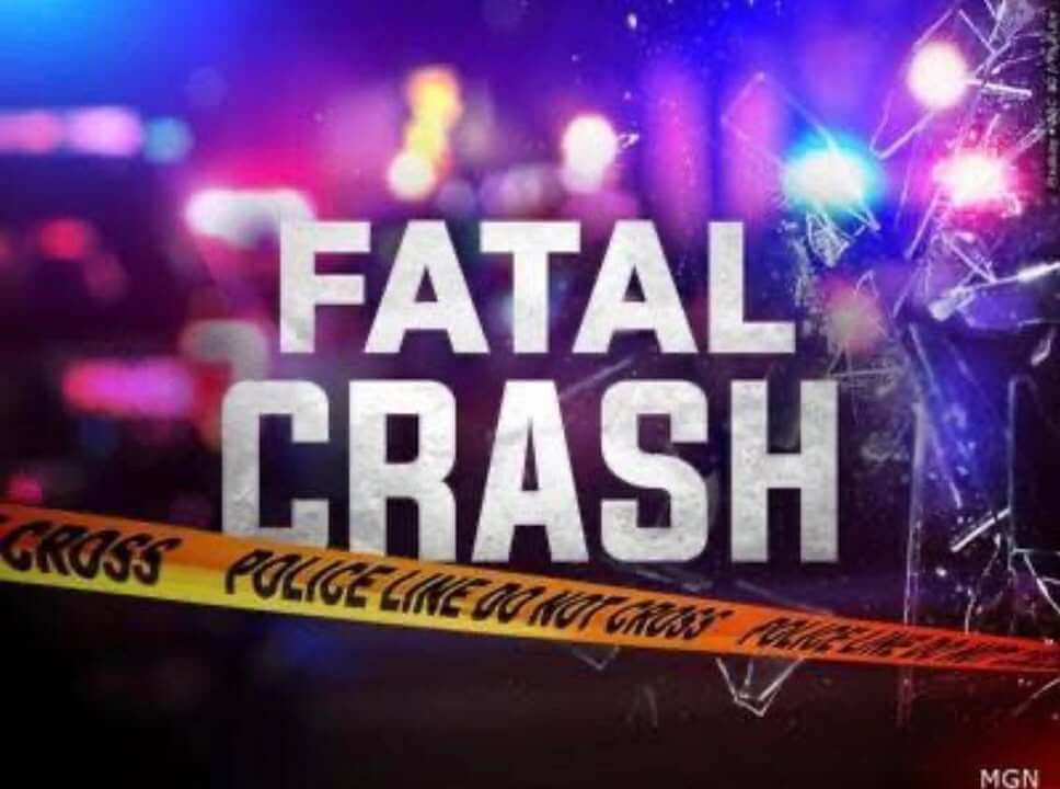 Jackson police investigate fatal pedestrian crash on McDowell Road