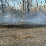 Grass fire reported on Lily Lane in Natchez Grass fire reported on Lily Lane in Natchez