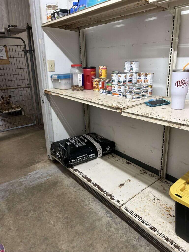 Lawrence County shelter seeks dry dog food donations