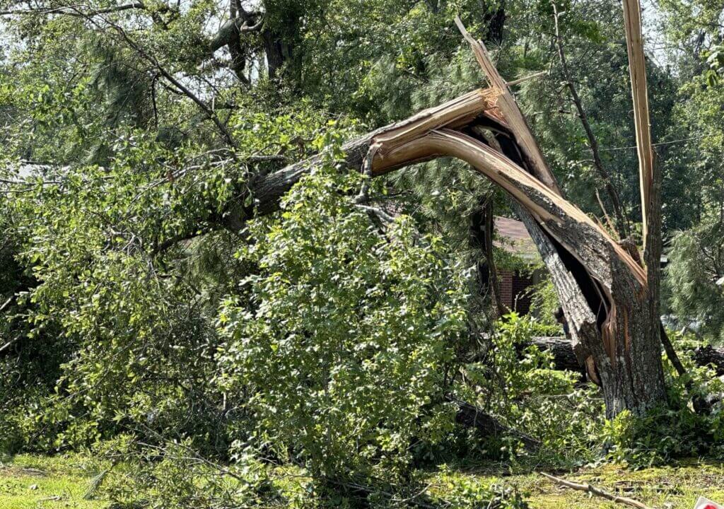 Jackson mayor urges homeowners to apply for tornado recovery program before deadline