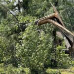 Jackson mayor urges homeowners to apply for tornado recovery program before deadline Jackson mayor urges homeowners to apply for tornado recovery program before deadline