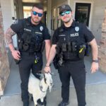 Officers round up runaway goat at Azul Apartments Officers round up runaway goat at Azul Apartments