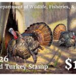 MDWFP proposes habitat projects to boost wild turkey populations statewide MDWFP proposes habitat projects to boost wild turkey populations statewide