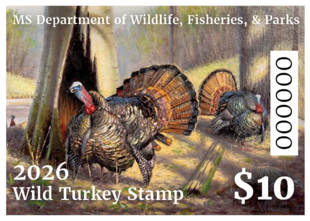 MDWFP proposes habitat projects to boost wild turkey populations statewide