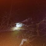 Tree falls on Natchez home, traps occupants Tree falls on Natchez home, traps occupants