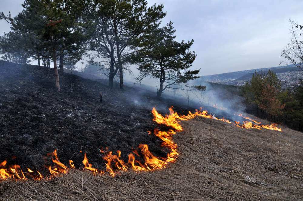 Mississippi issues burn bans in at least 15 counties