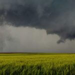 Lee County posts searchable storm shelter listings Lee County posts searchable storm shelter listings