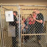 Corinth Police Department posts on Facebook Corinth Police Department posts on Facebook