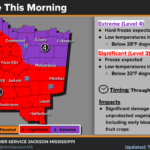 Hard freeze damages vegetation on St. Patrick's Day morning Hard freeze damages vegetation on St. Patrick's Day morning