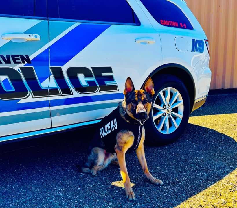 Southaven K-9s receive bullet, stab protective vests