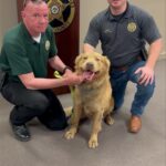 Pike County Sheriff's Office issues public relations notice Pike County Sheriff's Office issues public relations notice