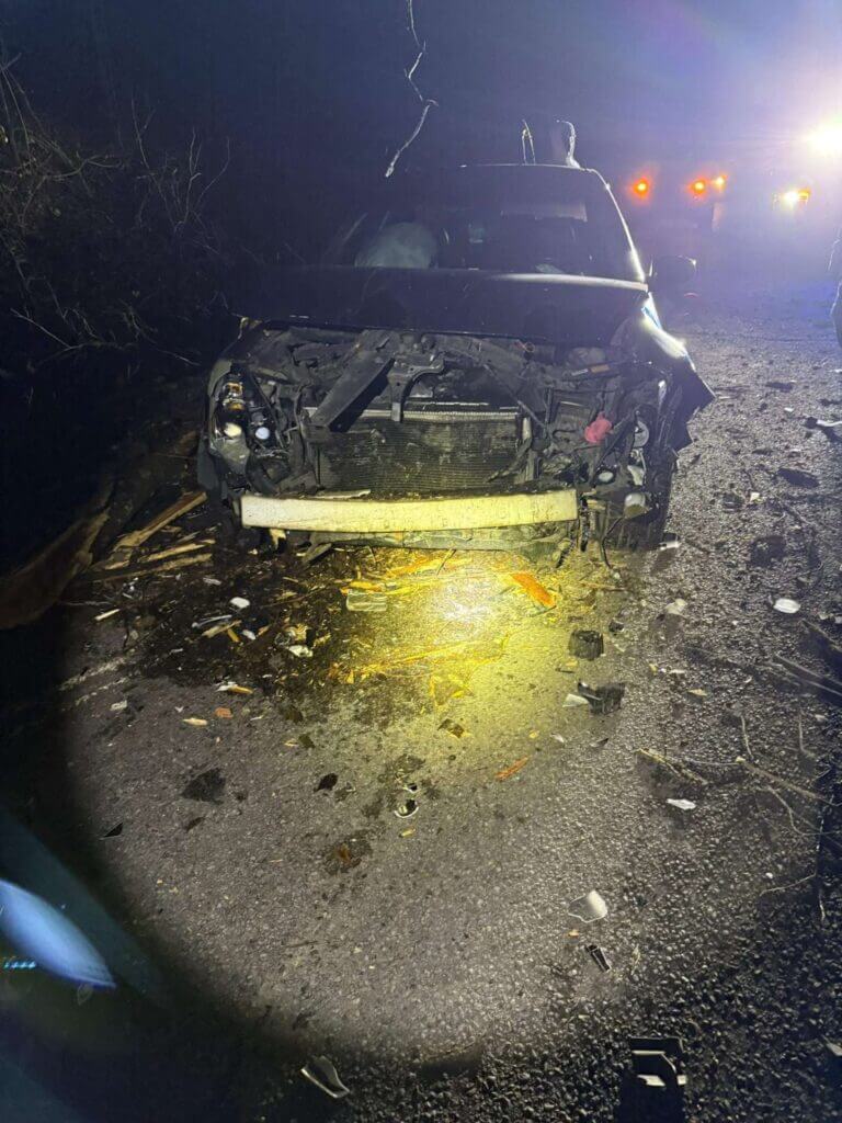 Vehicle strikes fallen tree on Old Highway 84 in Adams County