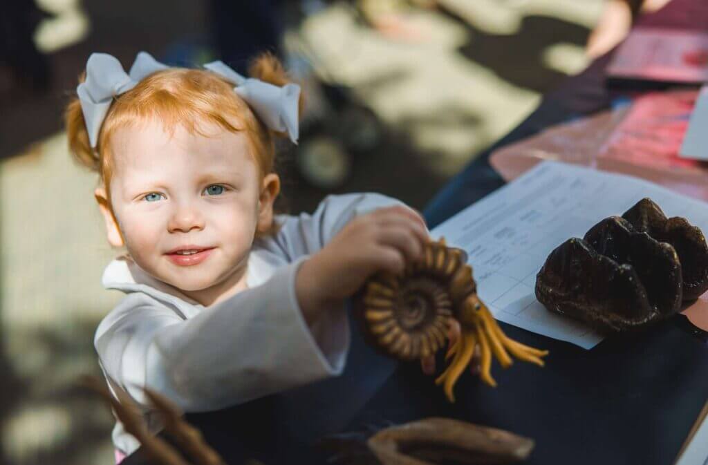Mississippi Museum hosts 23rd annual Fossil Road Show Saturday