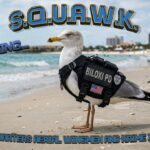 Biloxi police introduce S.Q.U.A.W.K. wingmen on Facebook Biloxi police introduce S.Q.U.A.W.K. wingmen on Facebook