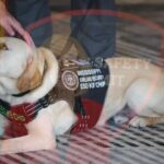 Mississippi Public Safety Summit set for May 19-22 Mississippi Public Safety Summit set for May 19-22