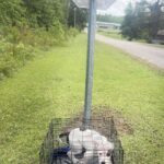Shelter finds dog abandoned in kennel during storm near Corinth Shelter finds dog abandoned in kennel during storm near Corinth
