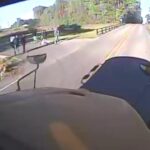 Hattiesburg police seek driver after school bus hit-and-run Hattiesburg police seek driver after school bus hit-and-run