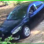 Harrison County sheriff asks public to ID suspect in Gulfport theft Harrison County sheriff asks public to ID suspect in Gulfport theft