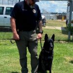 Marshall County prison dog Floki killed; $1,000 reward offered Marshall County prison dog Floki killed; $1,000 reward offered